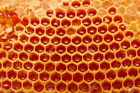 NaturaverdePro - Honey Roll On Wax